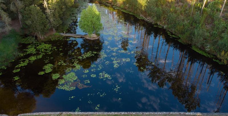 3 Bedroom Property for Sale in Plettenberg Bay Rural Western Cape